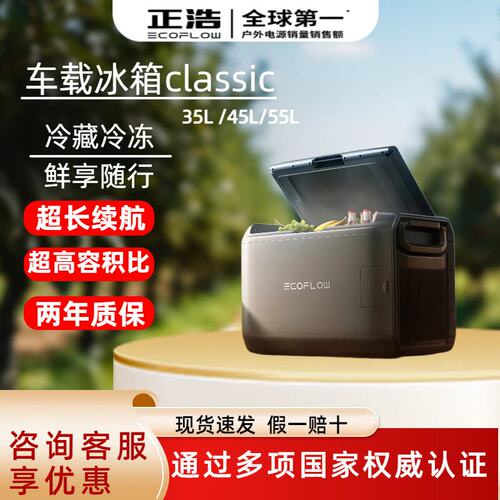 【新品】正浩EcoFlow  35L/45L/55L 户外移动车载冰箱冷冻冷藏