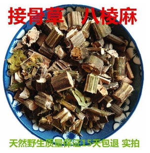 接骨草中药材陆英蒴藋排风藤八棱麻大臭草秧心草小接骨丹干货正品