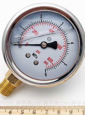 径向油表YN-60防震压力表0-6MPa液压表860psi气压表2分螺纹ZG1/4
