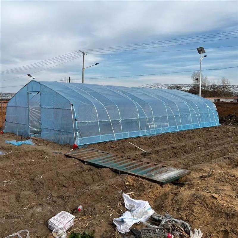 组合式塑料大棚种植大棚大棚骨架养殖大棚鸡棚养猪棚蔬菜大棚花卉