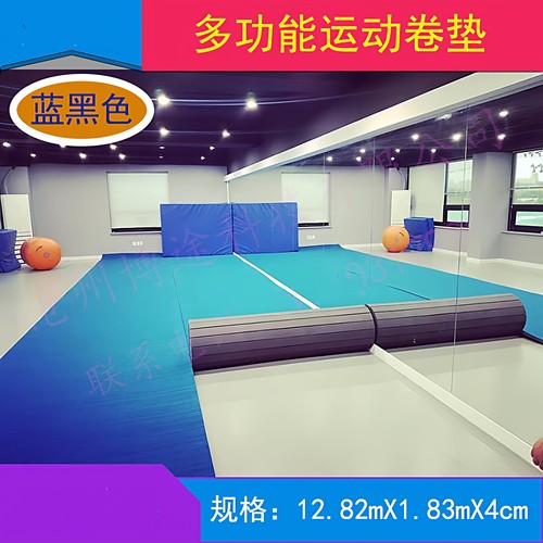加厚防滑体操垫拉拉队舞蹈室地垫