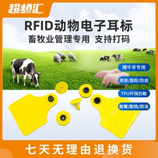 rfid动物标签猪耳标牛耳标羊耳标超高频动物电子标签畜牧业管理