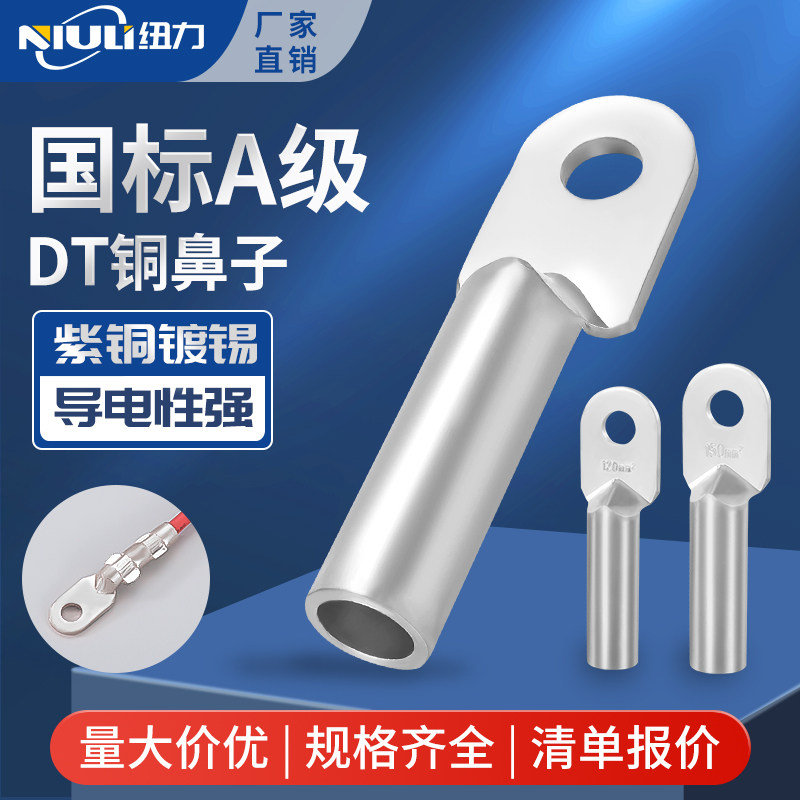 DT国标A级铜鼻子接线端子