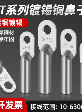 DT铜鼻子镀锡16/25/35/70/95/120/185/240/300平方接线端子纯紫铜