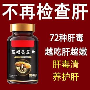 清肝毒】口苦口臭熬夜喝酒肝火旺护肝片失眠养肝葛根灵芝片