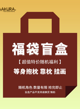 Hmakura 限量 盲盒福袋大抽随机角色 等身抱枕 靠枕 挂画