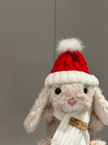 jellycat毛绒玩具yummy小兔老鼠