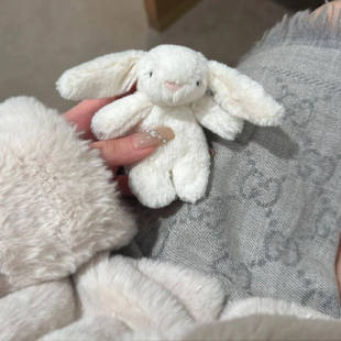 英国jELLYCAT邦尼兔挂饰西高地柯基咖啡杯奥拓小狗包包挂件钥匙扣