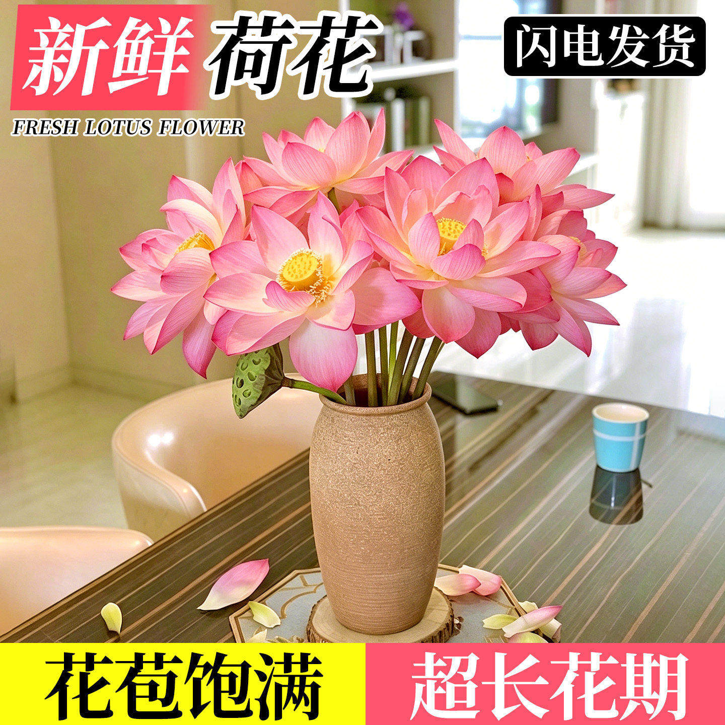 荷花鲜花室内插花好养云南基地直发水培植物中式禅意重瓣新鲜真花