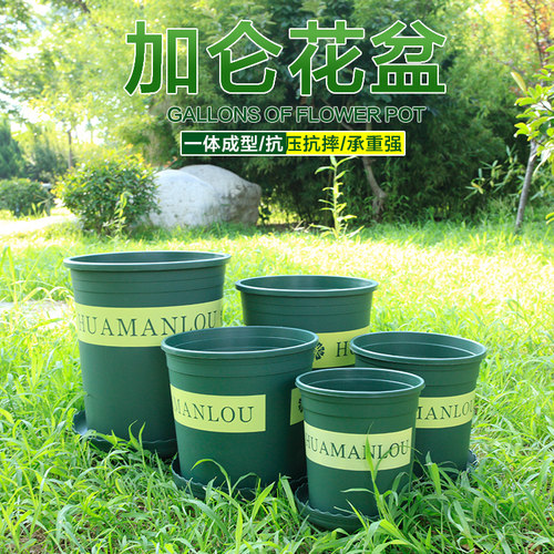 环保树脂塑料圆形加仑盆种菜植物