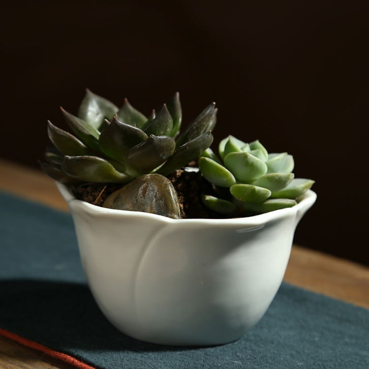 简约现代白色陶瓷小花盆 玫瑰花形多肉植物花盆桌面摆件