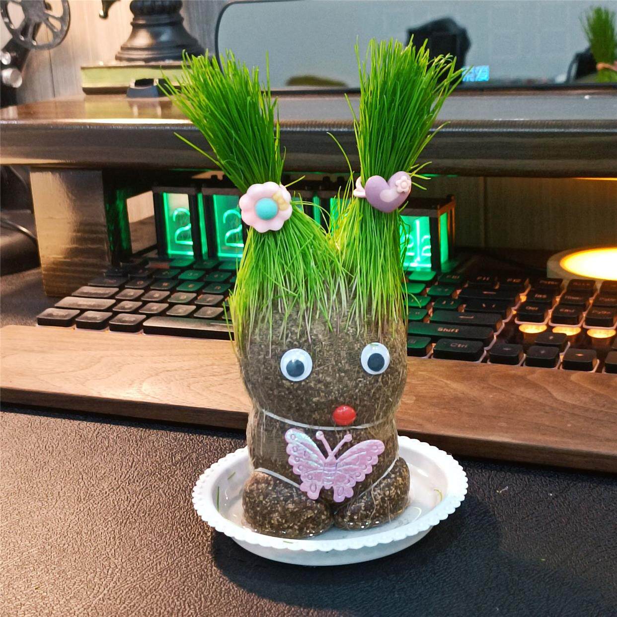 草头娃娃头上长草娃娃开花娃娃儿童浇水头上长草幼儿园种植小盆栽