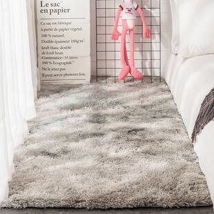 地毯卧室床边毯床前满铺长毛绒脚垫客厅ins风少女撸猫感毛毯地垫