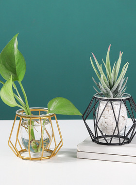 欧式ins 铁艺花架水培玻璃花瓶创意家居桌面装饰植物插花摆件定制