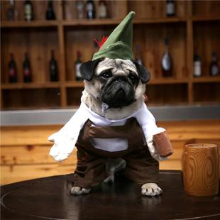 狗狗啤酒服务生搞怪站立装服务员衣服搞笑绿帽子泰迪比熊宠物衣服