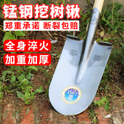 王中王挖树专用锹锰钢加厚
