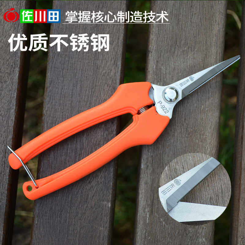 葡萄采摘柑橘子修花稀果剪佐川田