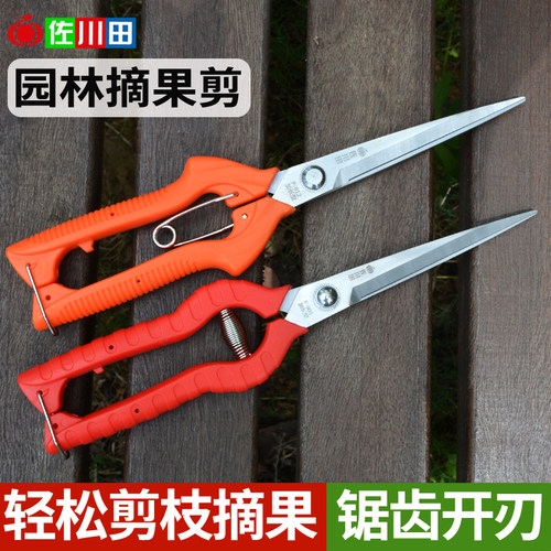 佐川田园艺修剪采果花椒枸杞