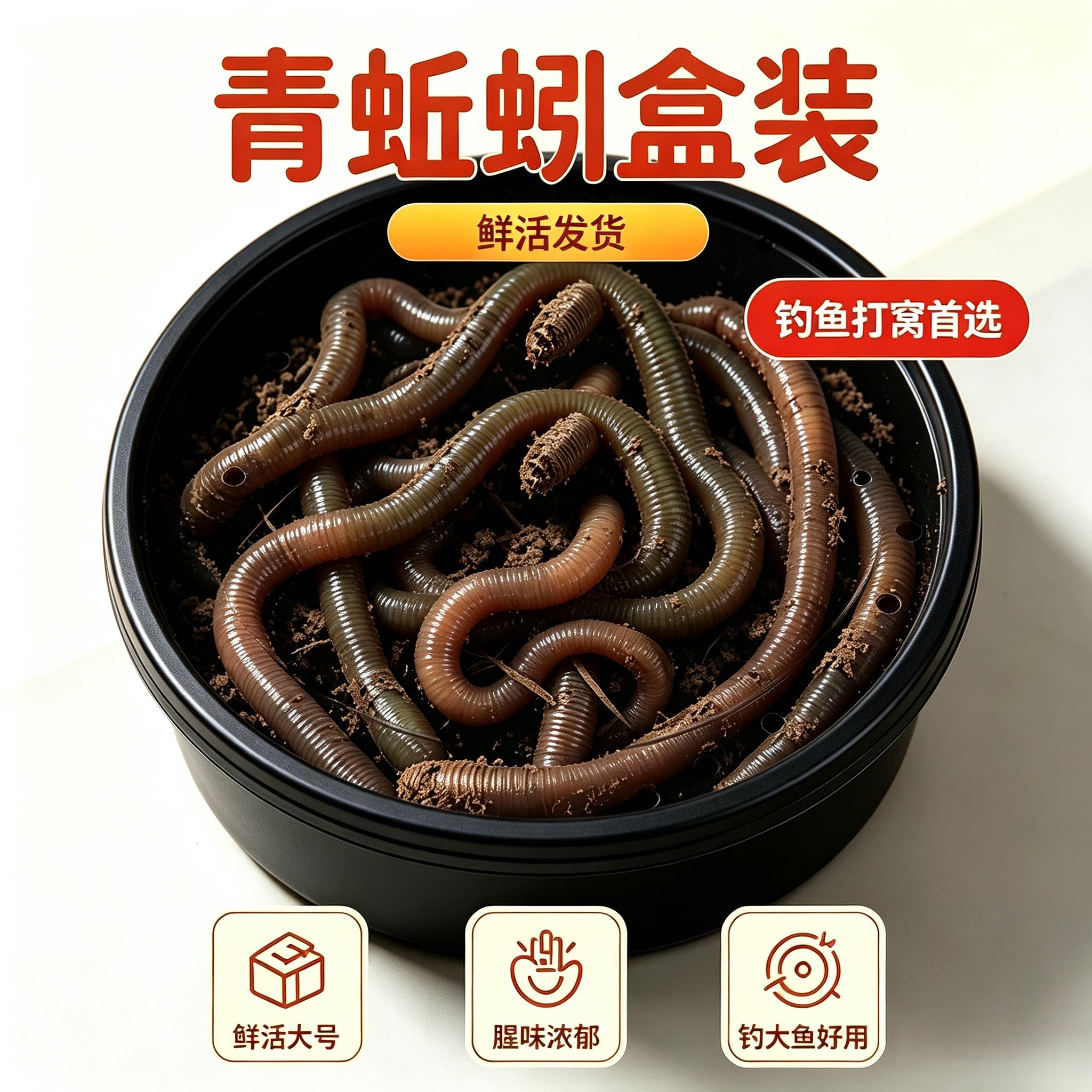精美盒装青蚯蚓活饵黑蚯蚓活体鱼饵钓鳗鱼抓黄鳝诱饵喂养宠物专用