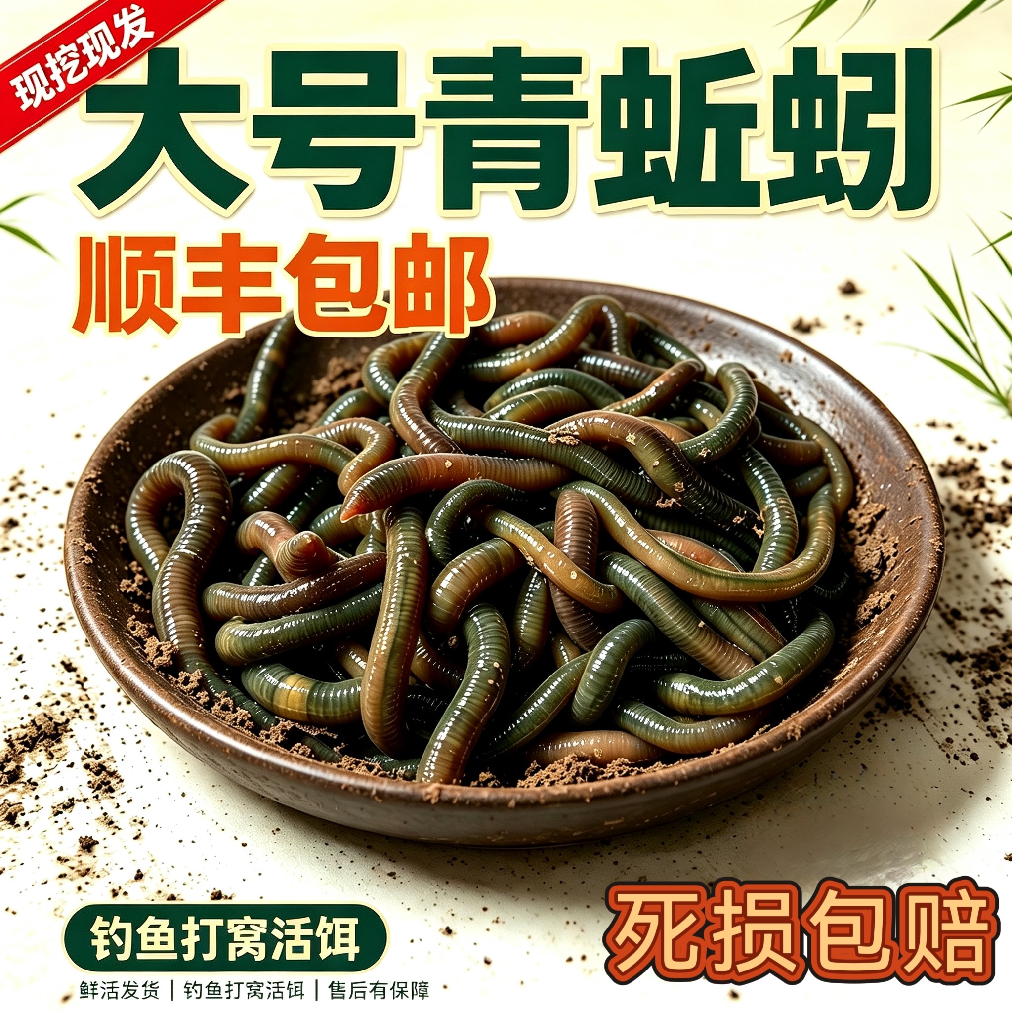 顺丰包邮户外青蚯蚓黑蚯蚓活饵钓黄鳝蚯蚓钓鱼蚯蚓活体垂钓蚯蚓饵