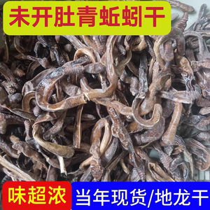 包邮全国晒干黑蚯蚓干货臭蚯蚓青蚯蚓干曲蟮捕黄鳝鱼饵养殖场直销
