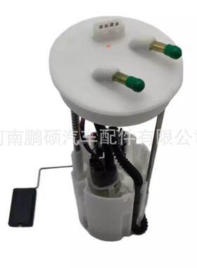 PW923767 PW925532 PW823172适用于Proton 燃油泵总成 泵芯