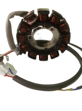 适用摩托车JYM125天剑YBR125天戟天隼劲傲磁电机国三12极定子线圈