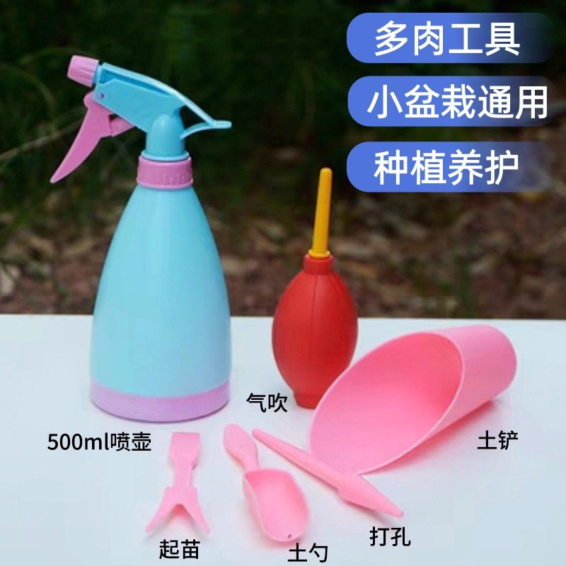 园艺工具组合套装 多肉种植搭配移苗器桶铲土铲子耙毛刷气吹喷壶,鲜花速递/花卉仿真/绿植园艺,园艺用品套装,淘宝优惠券,粉丝福利购,淘宝优惠卷
