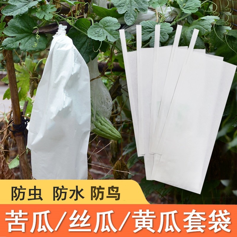 塑料纸袋套苦瓜丝瓜黄瓜套袋青瓜水果瓜果套果袋专用防虫袋防水袋