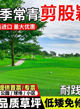 草坪草籽四季常青免修剪细弱剪股颖匍匐剪股颖庭院别墅绿化草种子