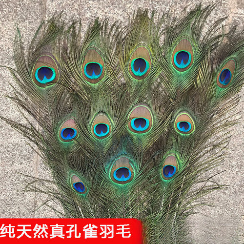 爆品真孔雀羽毛翎尾大眼睛客厅摆件花瓶插花装饰品配件孔雀毛