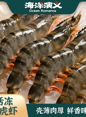 海洋演义41/50活冻黑虎虾1kg/盒*1盒（约41-50只）