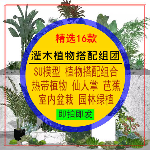 灌木植物搭配景观组团SU模型热带植物芭蕉仙人掌室内盆栽绿植素材
