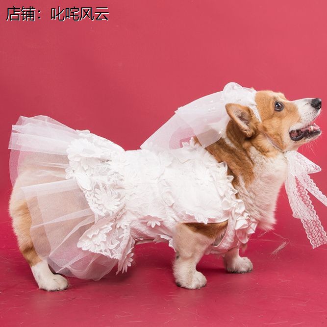 狗狗婚礼衣服纱裙子结宠