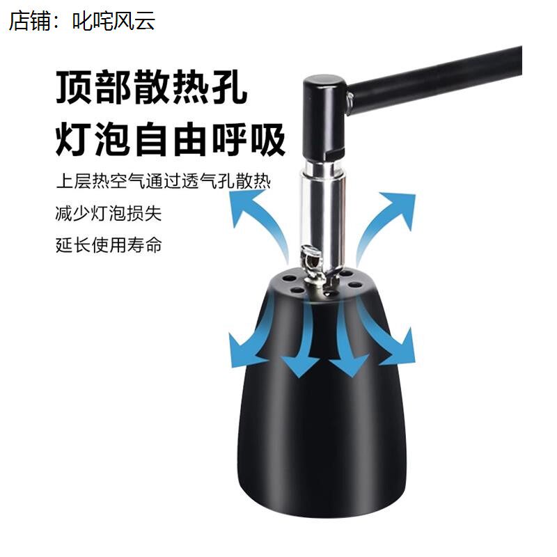 乌龟背晒灯爬宠养龟补钙