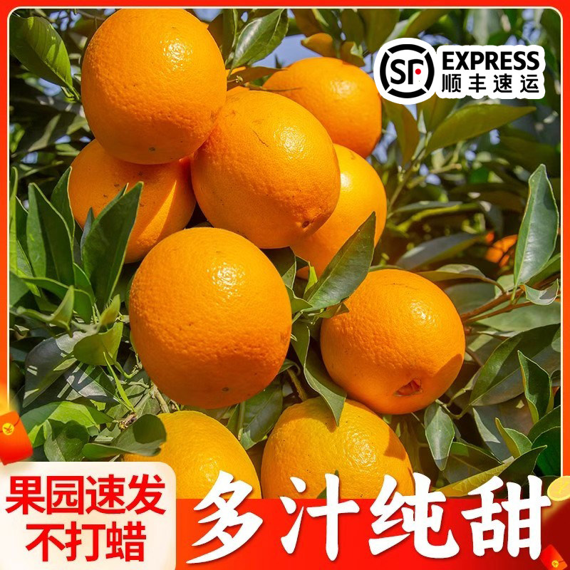 顺丰秭归脐橙正宗纽荷尔手剥橙子时令应当季新鲜水果冰糖甜橙整箱,水产肉类/新鲜蔬果/熟食,橙,淘宝优惠券,粉丝福利购,淘宝优惠卷