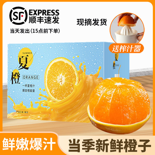 爆汁湖北秭归夏橙夏季鲜橙