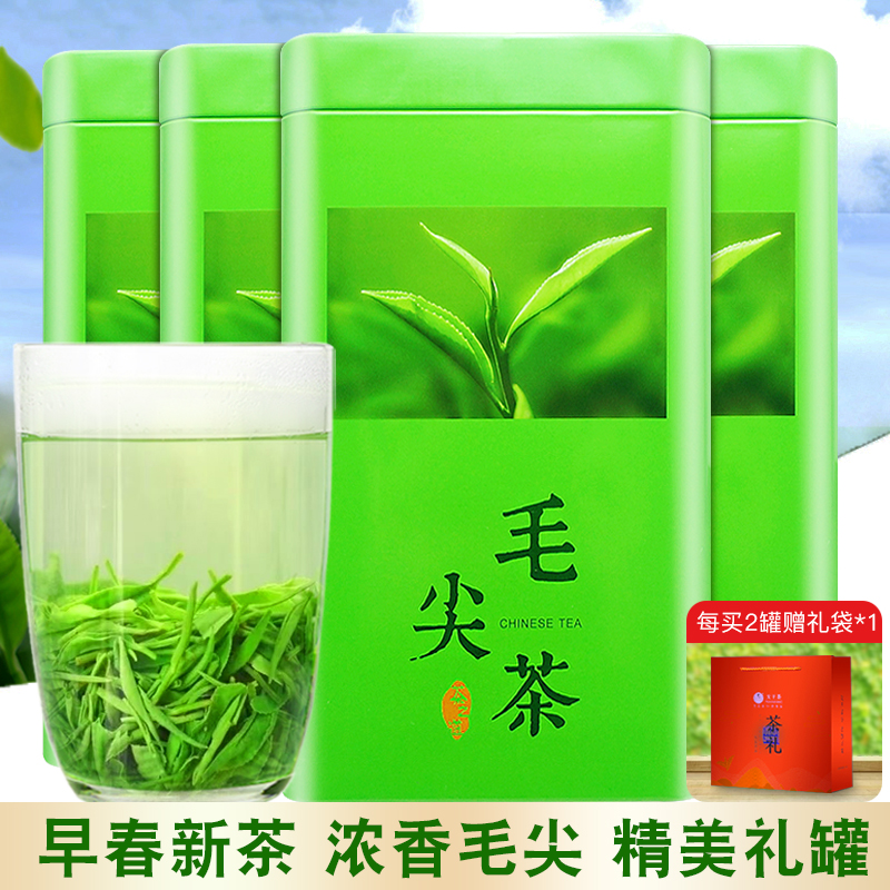 【400g礼罐】高山毛尖绿茶浓香型2025新茶叶礼盒礼罐装送礼茶200g
