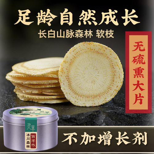 长白山脉冰川森林处女地西洋参