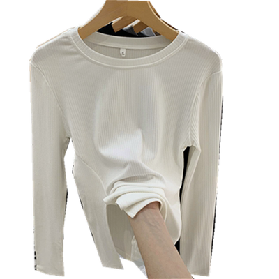 螺纹常规的百搭韩版长袖跃伴纯色