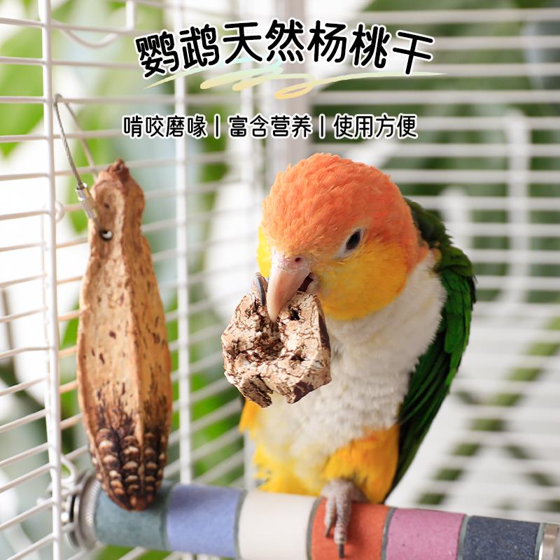 鹦鹉解闷啃咬玩具杨桃干磨