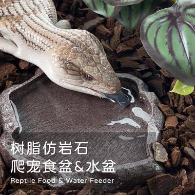 守宫食盆爬宠仿岩石树脂水盆蓝舌蜥蜴陆龟蛙黄缘适用