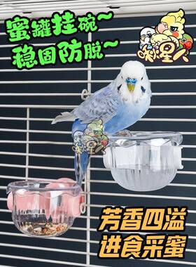 鹦鹉喂食器蜜罐食盆牡丹玄凤虎皮站架小碗多功能站架小鸟造景食盒