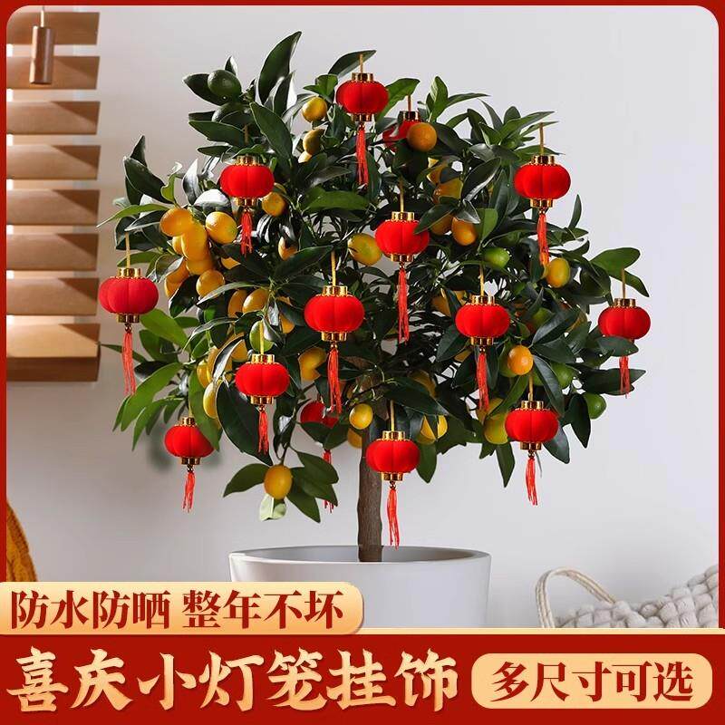 植绒小灯笼元旦春节装饰20