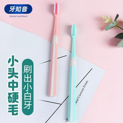 牙刷排行榜第一名高档中硬毛牙刷小头女士专用牙渍硬情侣毛家用家