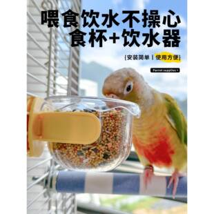 喂食器鹦鹉鸟食盒防溅喂水器小号食碗内挂新型喂鸟神器横竖丝通用