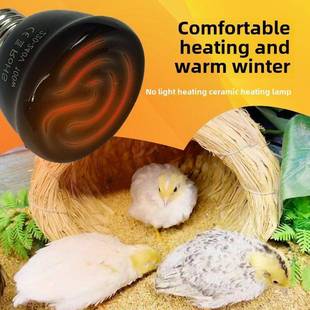 陶瓷加热灯鹦鹉专用保温灯芦丁鸡无光温控灯泡爬宠夜灯宠物取暖器