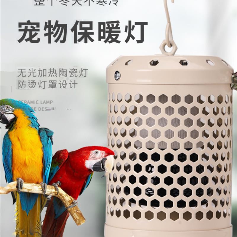 鹦鹉专用保温灯保暖灯宠物
