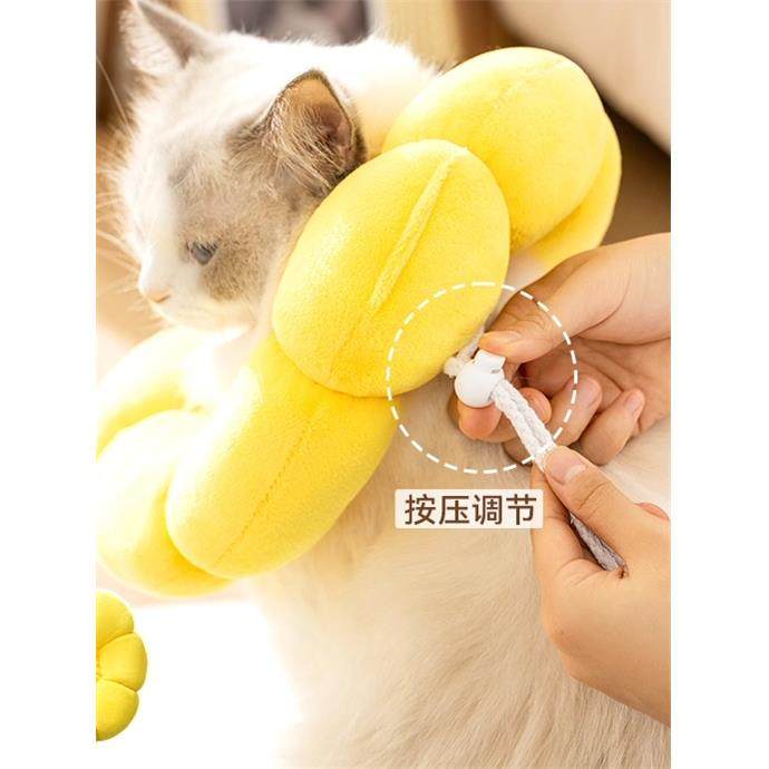 猫咪伊丽莎白圈绝育项狗狗防舔神器神器头套防抓脖套宠物用品,宠物/宠物食品及用品,宠物伊丽莎白圈,淘宝优惠券,粉丝福利购,淘宝优惠卷