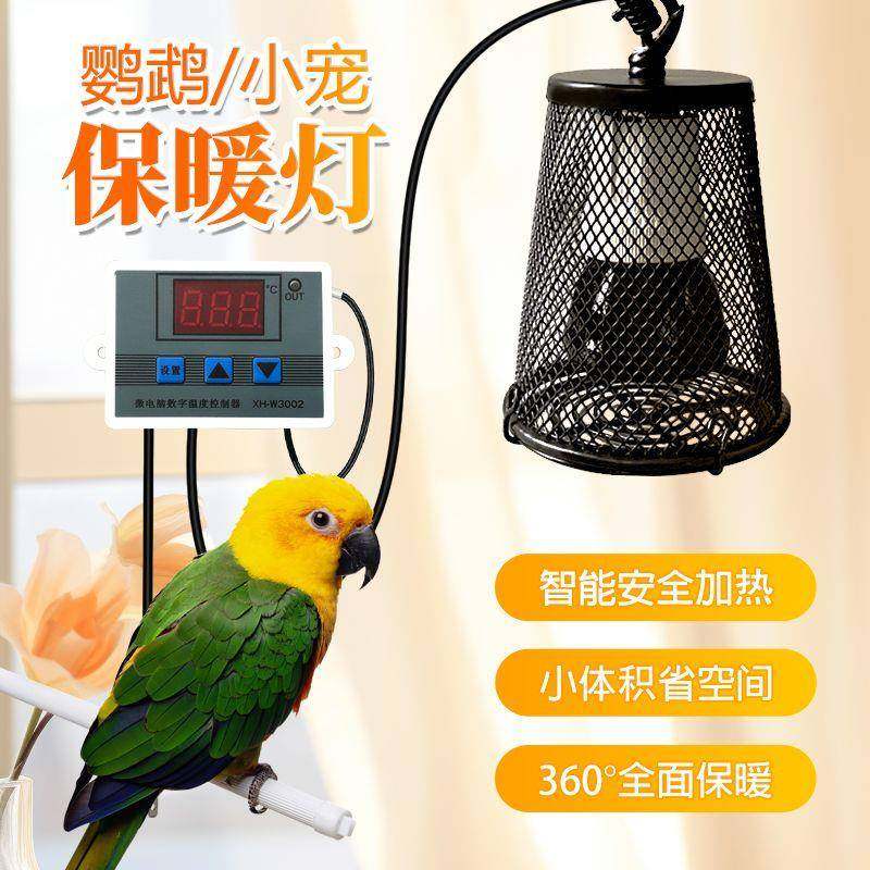陶瓷加热灯宠物鹦鹉保温灯鸟类无光保暖灯防烫伤取暖器防咬带罩子,宠物/宠物食品及用品,鸟禽其他,淘宝优惠券,粉丝福利购,淘宝优惠卷